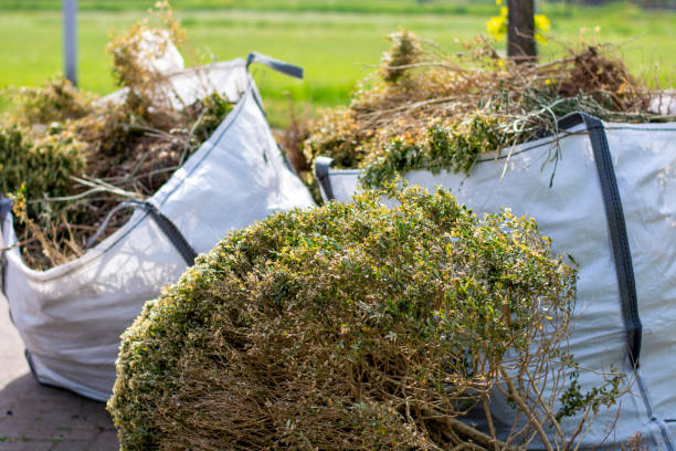 Best Construction Debris Removal  in Mission, KS